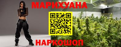 крисы Донской