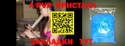 крисы Донской