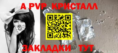 крисы Донской