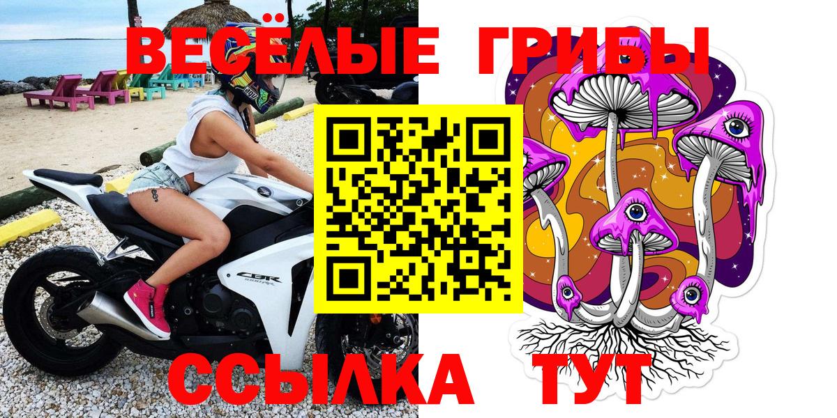 Михайловка  Псилоцибиновые грибы мицелий  Вход с VPN  Галлюциногенные грибы Psilocybe 
