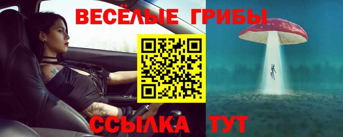 ТГК Михайловка